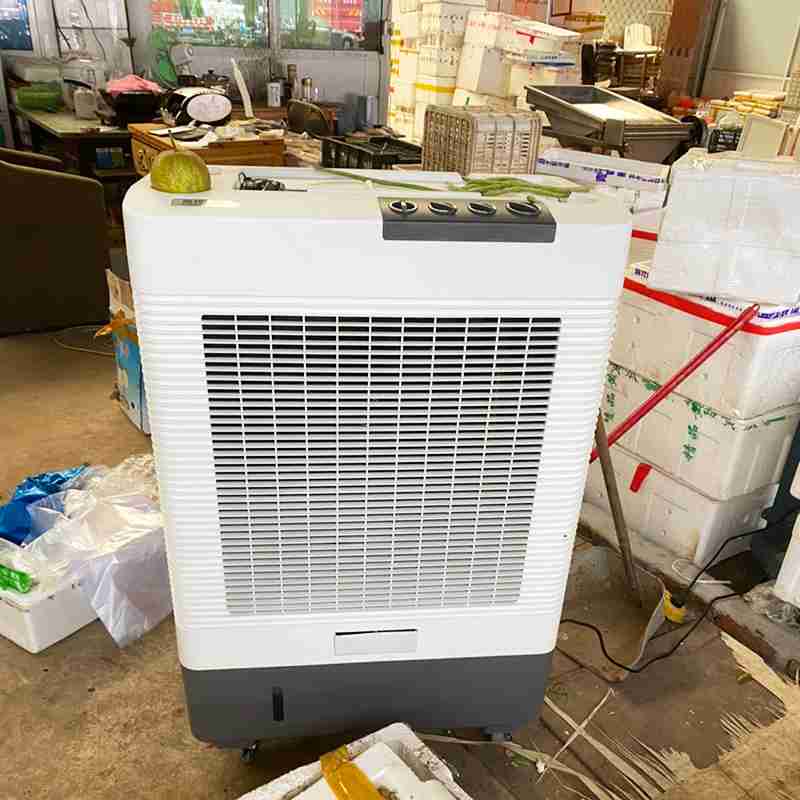 雷豹移動冷風機MFC6000農貿市場通風降溫