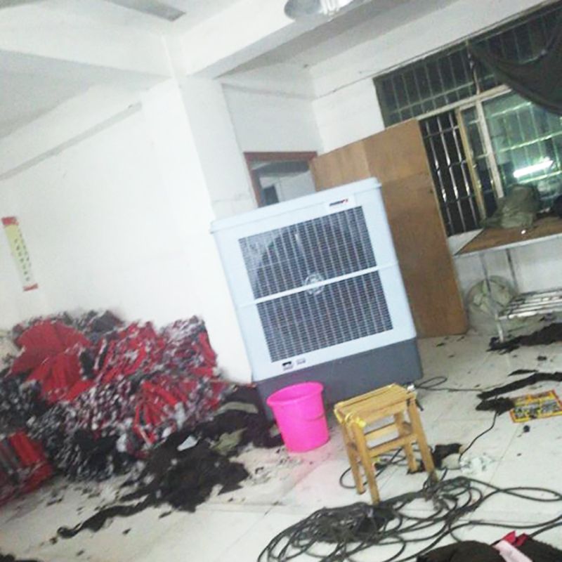 雷豹大型工業移動冷風機車間崗位局部降溫通風制冷